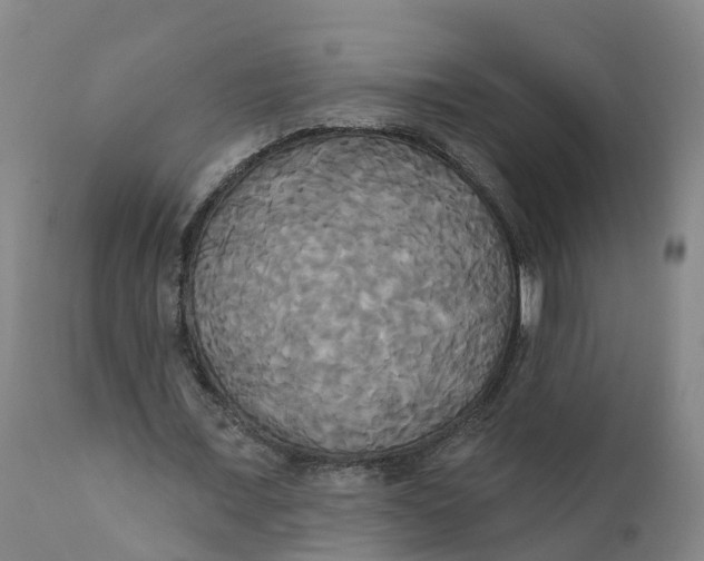 X0000111820675200908131524