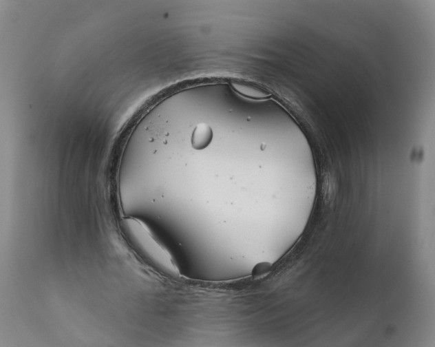 X0000111820676200908131524