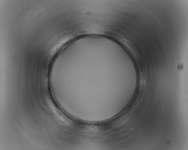 X0000111820677200908131523