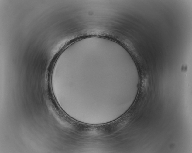 X0000111820678200908131523