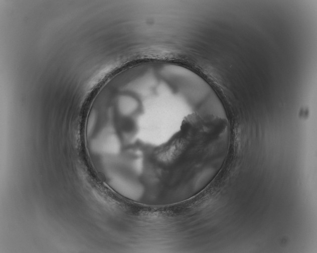 X0000111820679200908131523