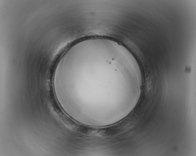 X0000111820680200908131523