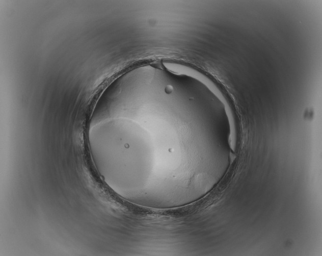 X0000111820681200908131523