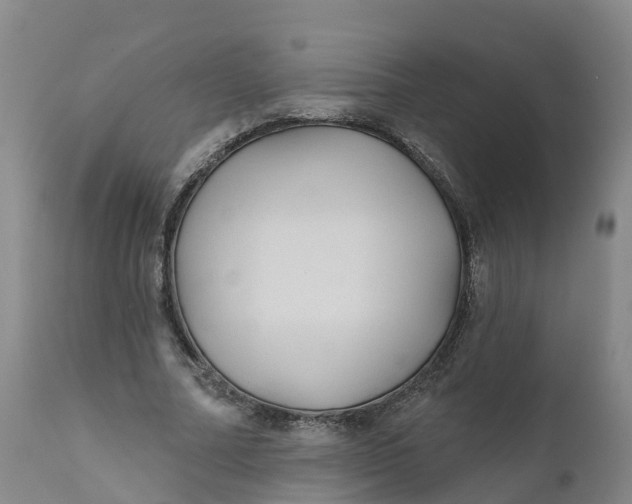 X0000111820682200908131523