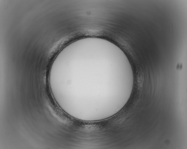 X0000111820686200908131523