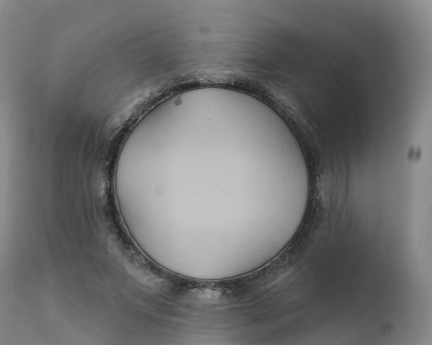 X0000111820687200908131523