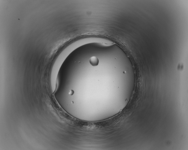 X0000111820688200908131523