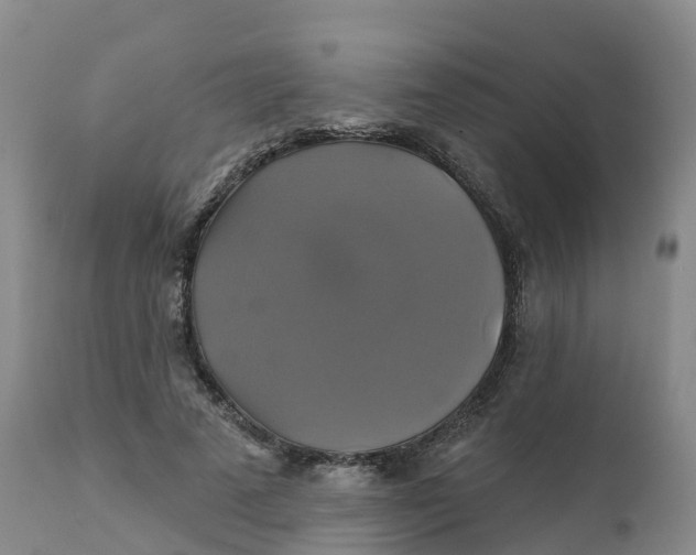 X0000111820689200908131523