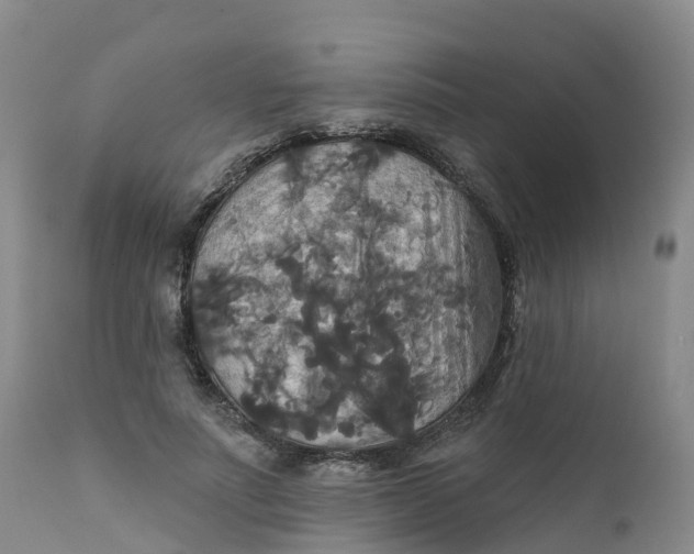 X0000111820691200908131523