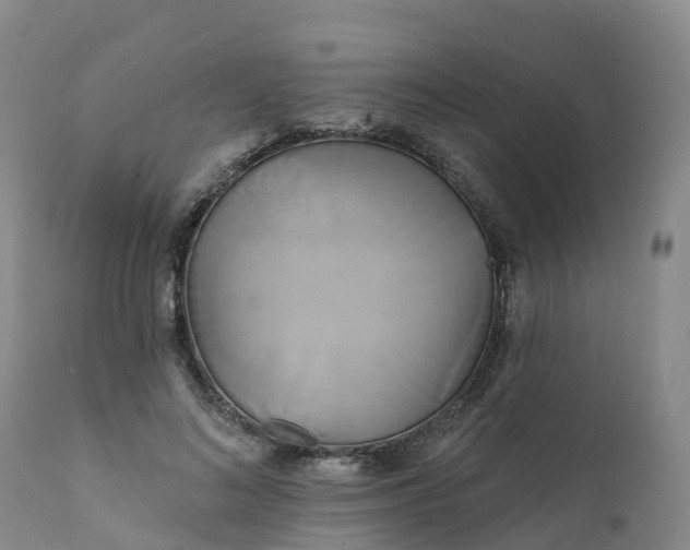 X0000111820692200908131523