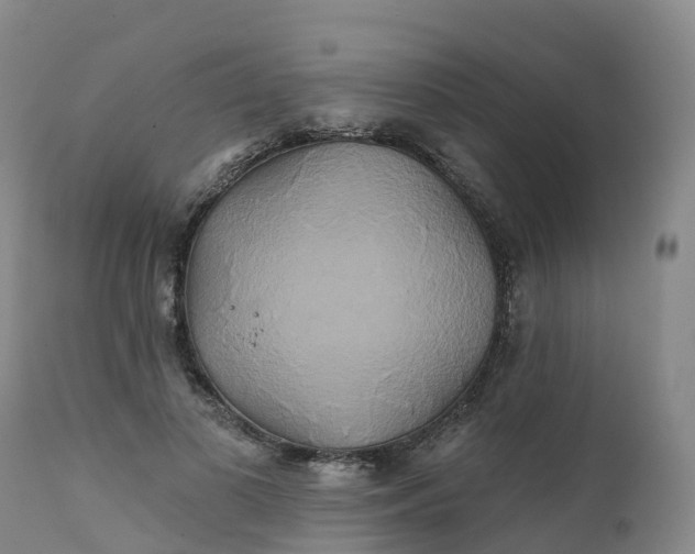 X0000111820693200908131523