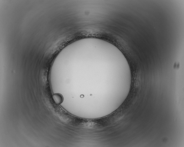 X0000111820695200908131523