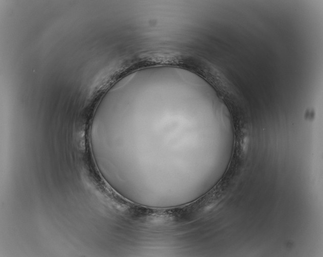 X0000111820696200908131523