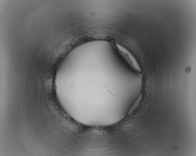 X0000111820697200908131523