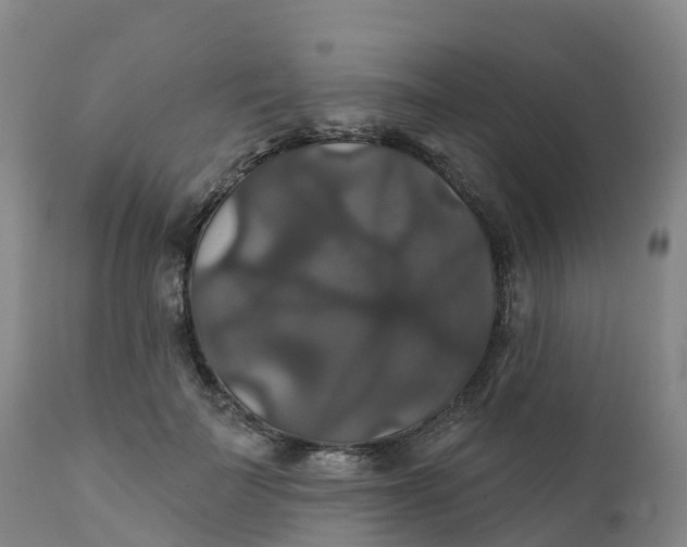 X0000111820699200908131523