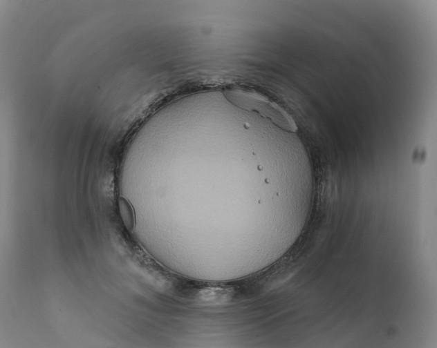 X0000111820700200908131523