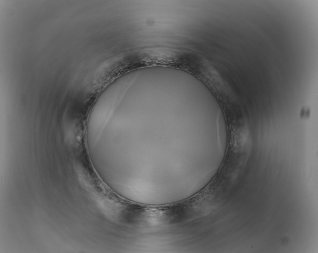 X0000111820701200908131523