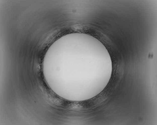 X0000111820702200908131523