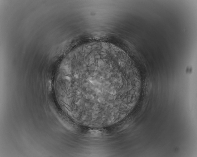 X0000111820703200908131523