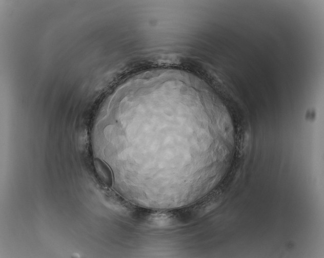 X0000111820704200908131523