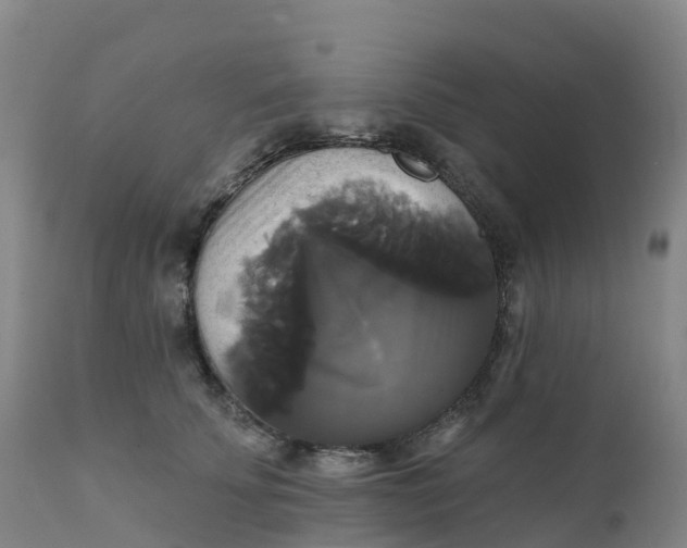 X0000111820707200908131523