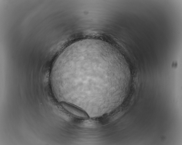 X0000111820708200908131523