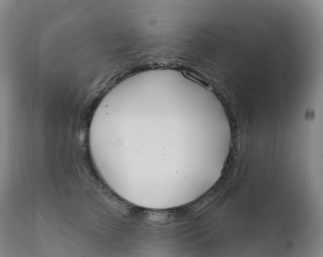 X0000111820709200908131523