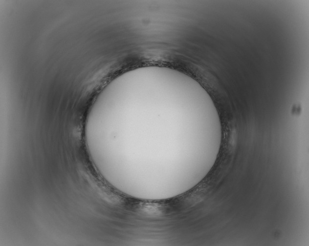 X0000111820710200908131523