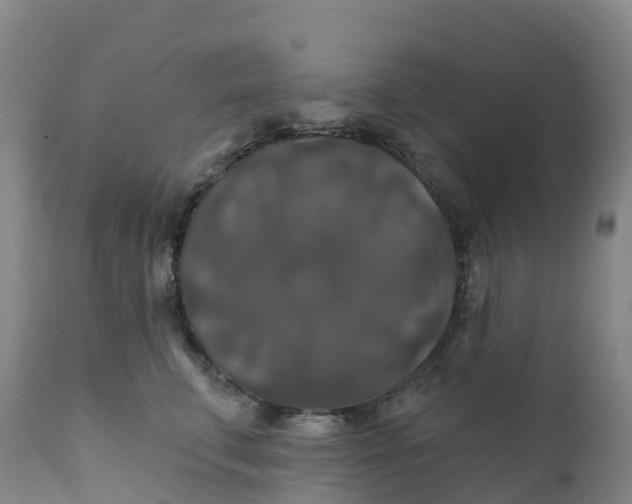 X0000111820711200908131523