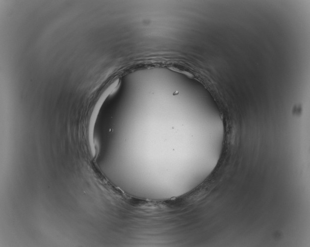 X0000111820712200908131523