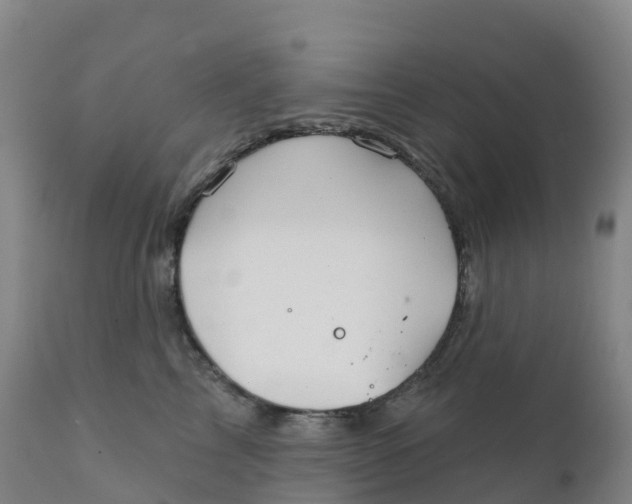 X0000111820713200908131523