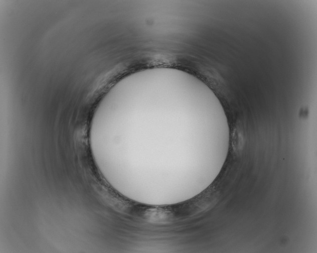 X0000111820714200908131523