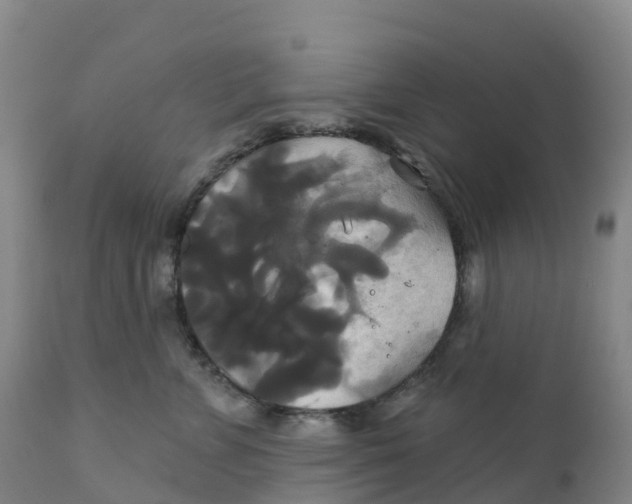 X0000111820715200908131523