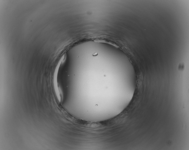 X0000111820716200908131523