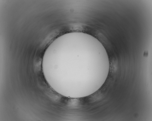 X0000111820717200908131523