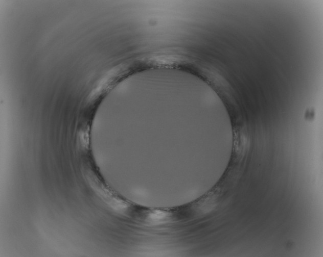 X0000111820718200908131523