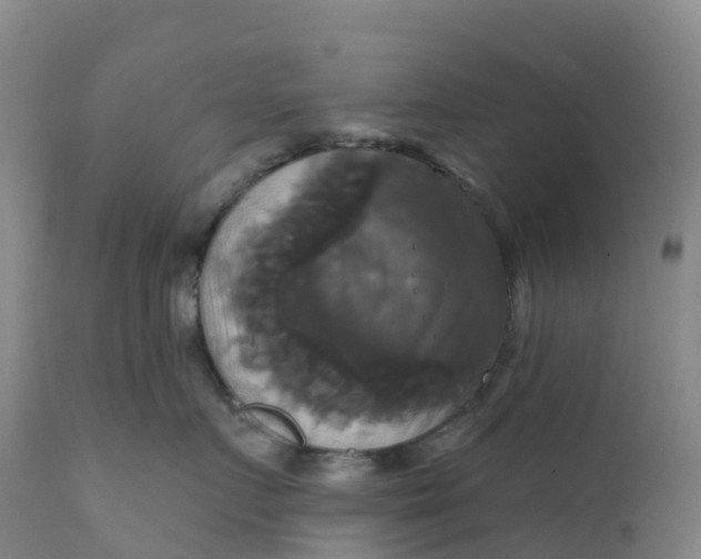 X0000111820719200908131523