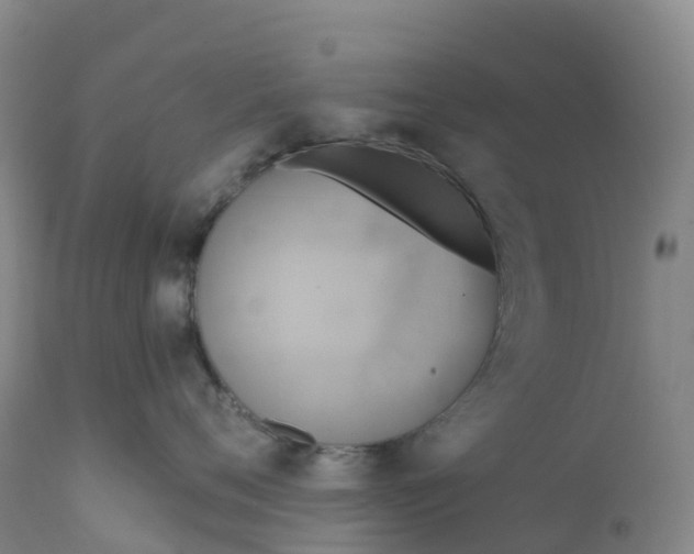 X0000111820720200908131523