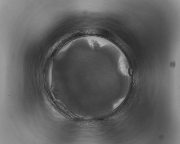 X0000111820722200908131522