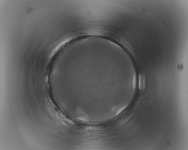 X0000111820723200908131522