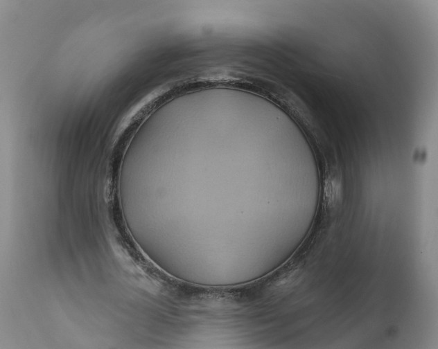 X0000111820724200908131522