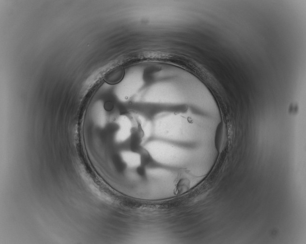 X0000111820725200908131522