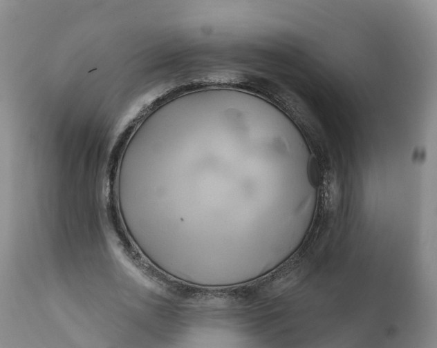 X0000111820726200908131522