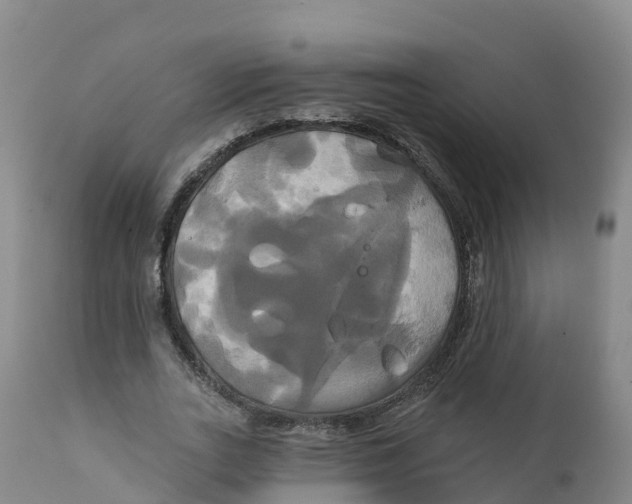 X0000111820727200908131522