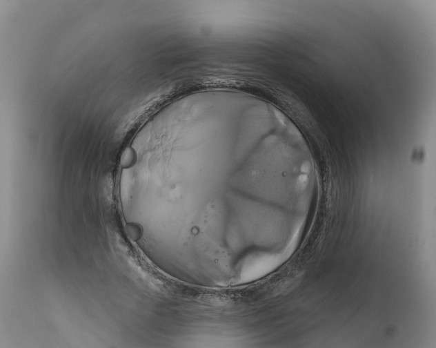 X0000111820729200908131522