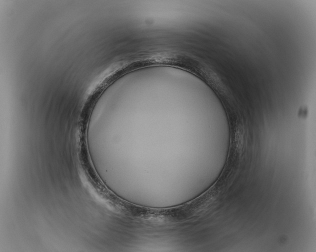 X0000111820730200908131522