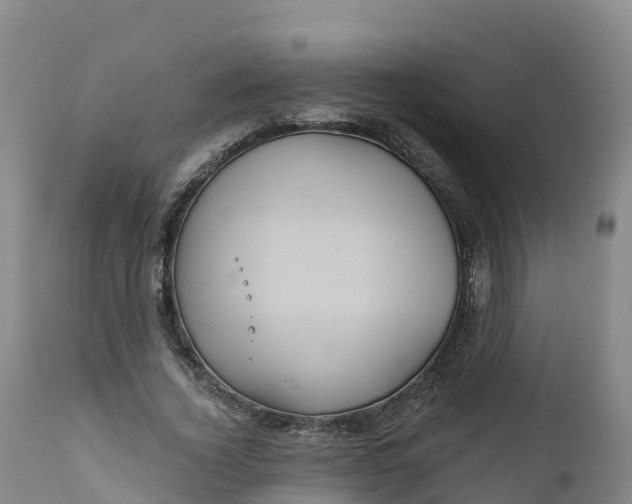 X0000111820732200908131522