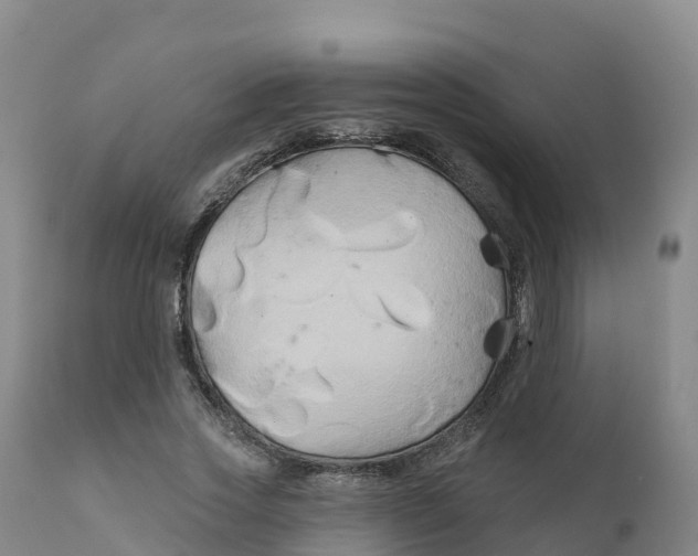 X0000111820733200908131522