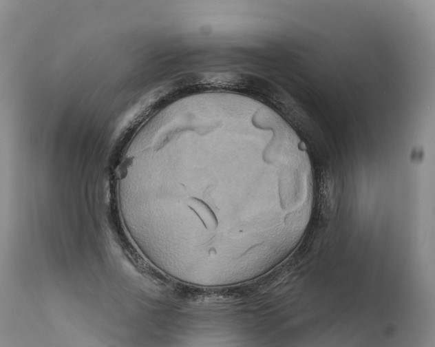 X0000111820734200908131522