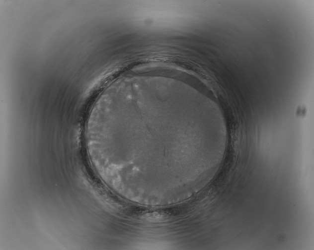 X0000111820735200908131522